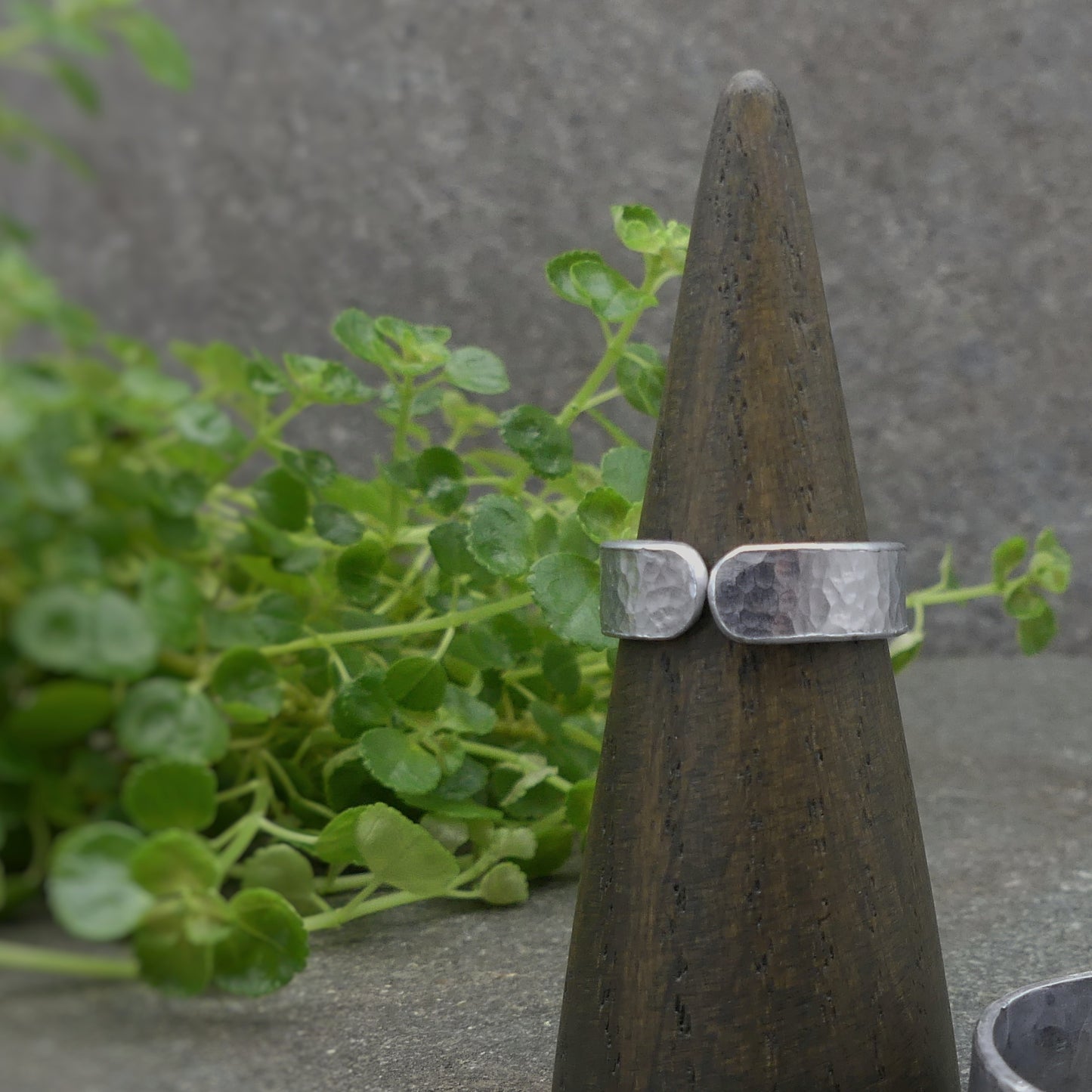 Ring - Regendruppels