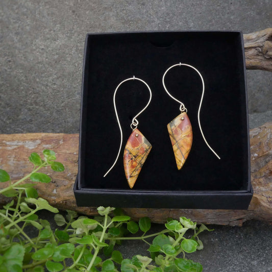 Eared butterflies - Jasper